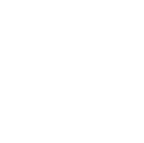 Ejes y líneas de investigación